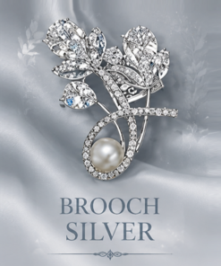 Brooch Silver